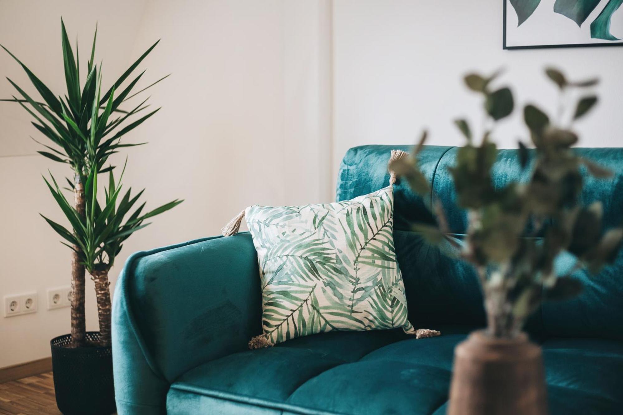 Oasis Appart - Wohnen In Dresden - Netflix - Tiefgarage - Dachterrasse Exteriör bild